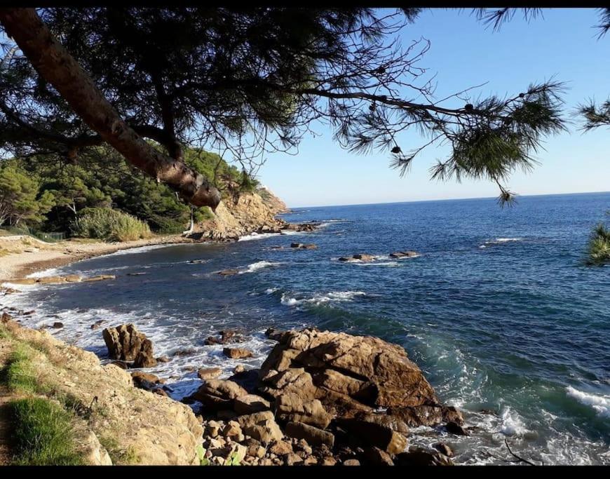 Superbe Appartement Neuf Aucalme Saint-Mandrier-sur-Mer Dış mekan fotoğraf